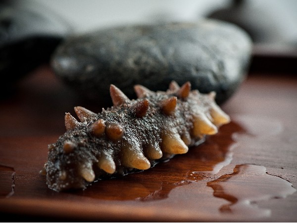 海參需長期食用，保健作用更持久