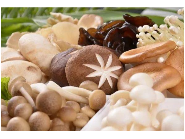 科普：保健食品具有以下27種功能