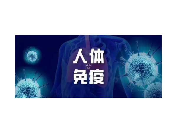 靈芝孢子粉保護(hù)我們?nèi)梭w從三個(gè)方面做起