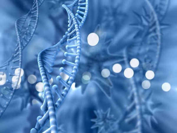 得癌后，為什么很多醫(yī)生會讓患者多多補充硒元素呢？