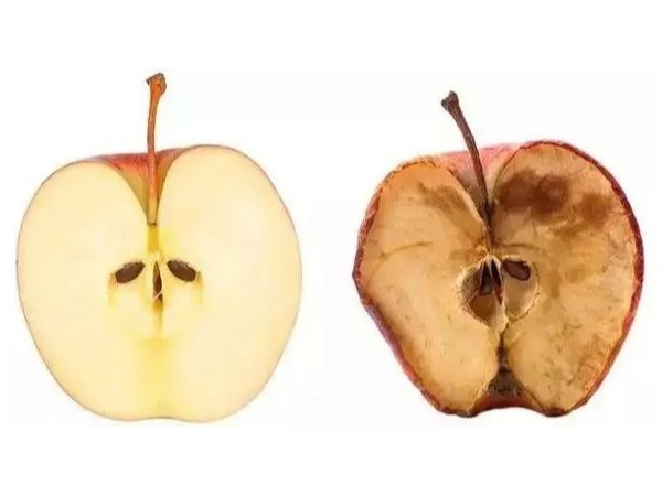 硒的抗氧化作用是怎么進行的呢？