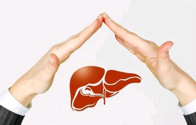 科學(xué)養(yǎng)肝全攻略