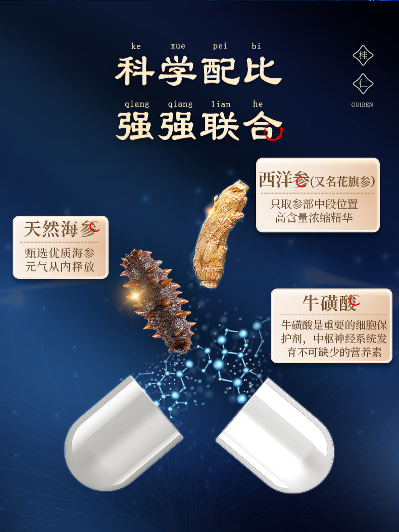 海參詳情_(kāi)02