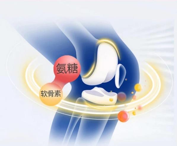 守護關節(jié)健康 揭秘氨糖軟骨素的作用