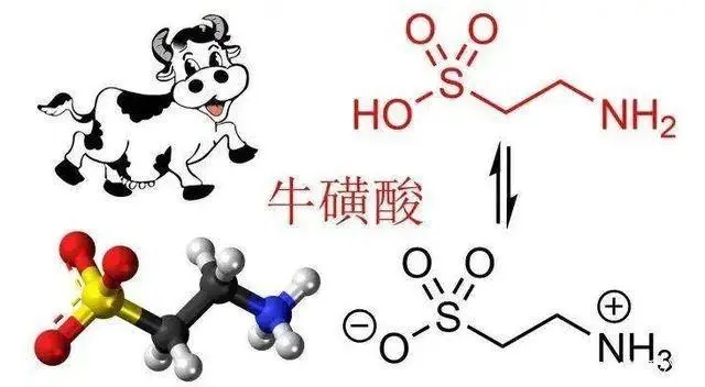 牛磺酸對(duì)人體的作用有哪些？