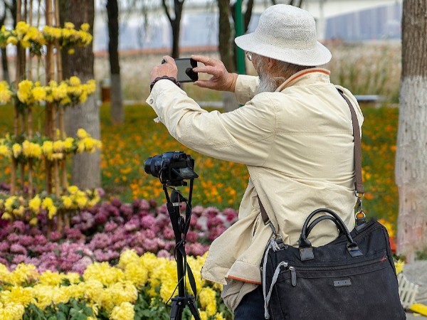 硒與中老年人健康的關(guān)系