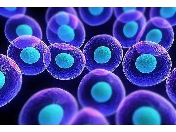 為什么吃硒沒(méi)有效果？你肯定做錯(cuò)了這個(gè)