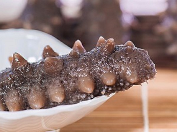 海參的營養(yǎng)價值都適合誰吃？