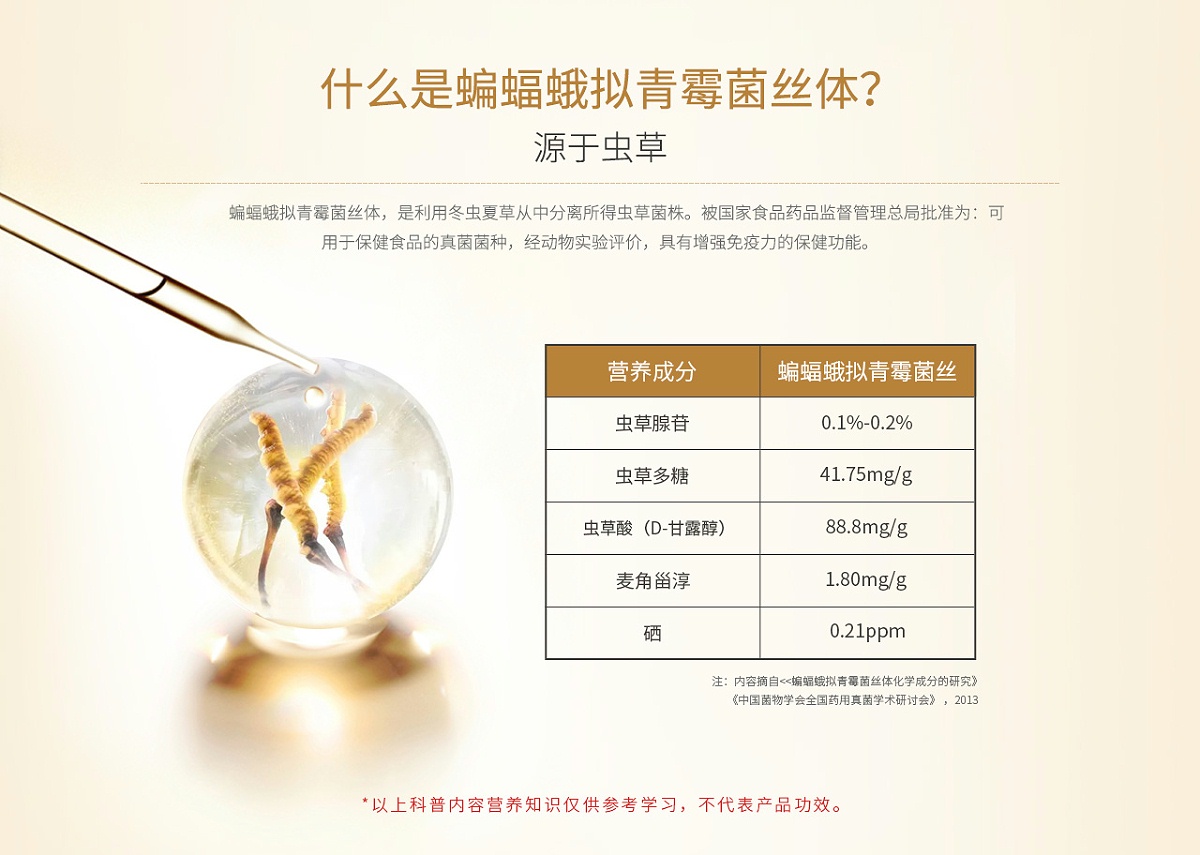 桂仁蟲草菌絲體片02