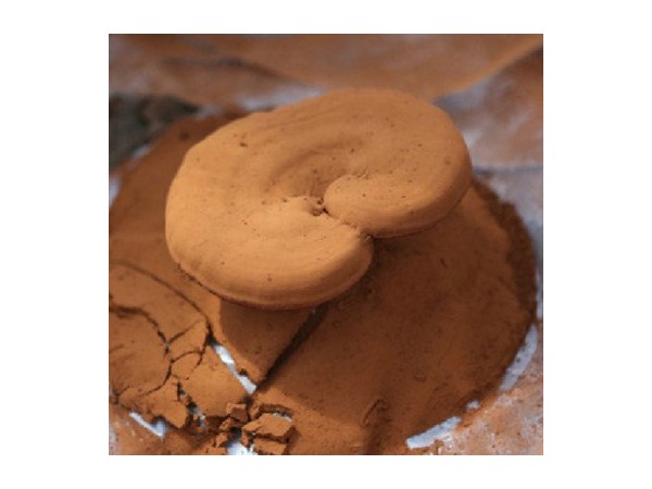 常熬夜的年輕人適合服用靈芝孢子粉嗎？