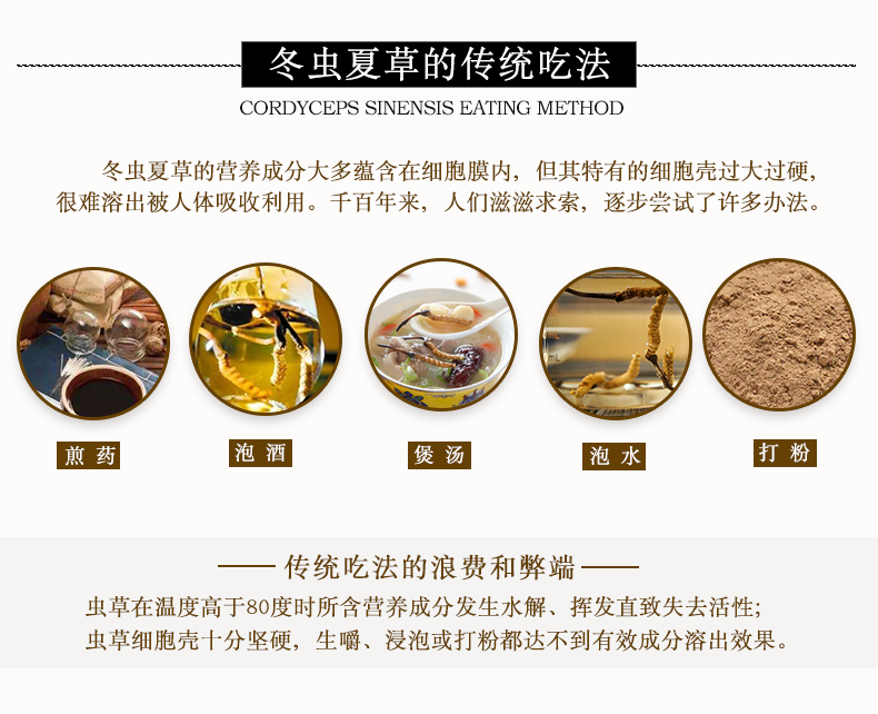 蟲草膠囊4