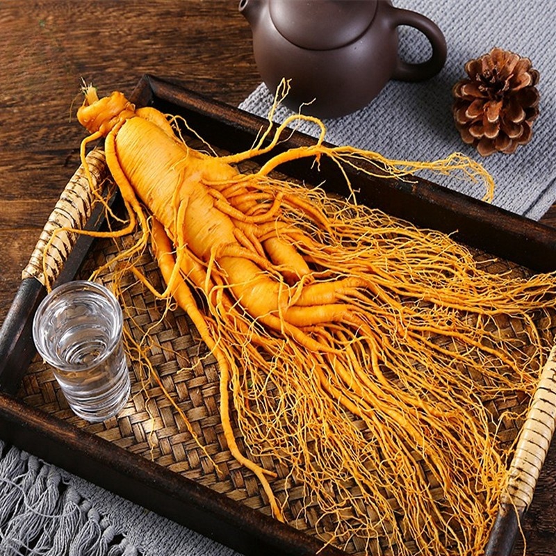 人參養(yǎng)生三百年