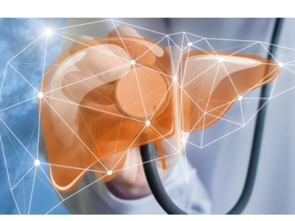 常補(bǔ)這些元素可以養(yǎng)肝排毒，還你一個(gè)干凈健康的肝