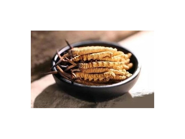 中國冬蟲夏草發(fā)展現(xiàn)狀分析，未來潛力巨大