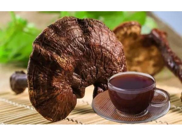 桂仁小課堂——靈芝孢子粉月經(jīng)期間還能吃嗎？