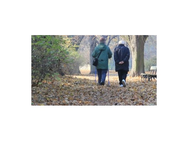 秋冬營養(yǎng)要注意補(bǔ)充什么？