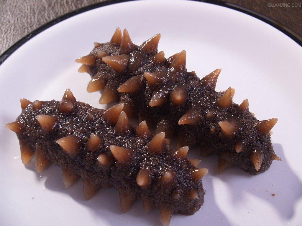 經(jīng)常吃海參，對(duì)身體有什么好處？