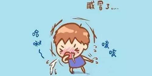 葛根的清熱解毒的作用